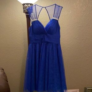Cobalt Blue Cocktail Dress